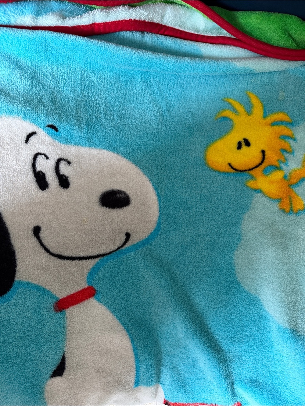 Peanuts Snoopy & Woodstock Blue Fleece Throw